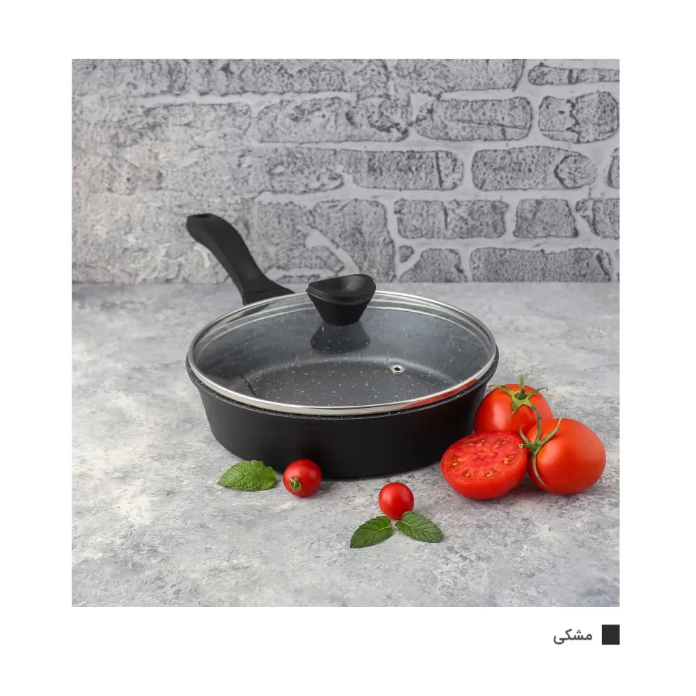 pan single handle venus 24 4