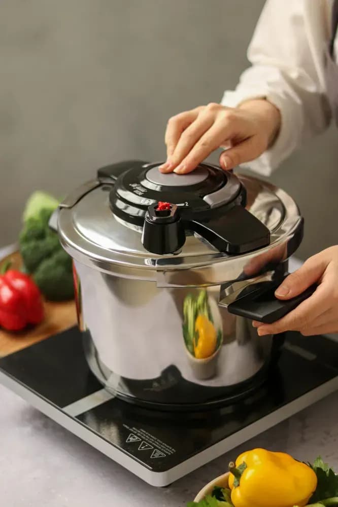 pressure cooker twin 4 6 ۶